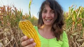 Земя за Продан с Цеци & ЖельоМир. TSETSI's Investment Property Bulgaria: Agricultural Land for Sale