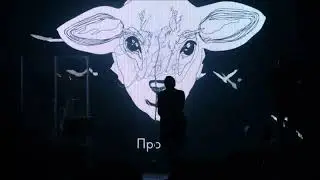 Mujuice - Возвращайся домой (