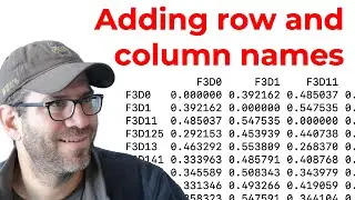 Changing the row and column names of matrices with tools from base R  (CC176)