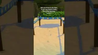 Baby Sea Turtle Hatching Event in the Sims 4 🐢
