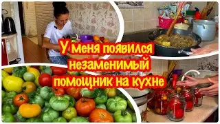 Обзор моей покупки/Незаменимый помощника на кухне/Что случилось с помидорами за семь дней дома