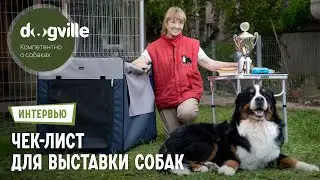 Собираемся на выставку собак – Чек-лист от судьи FCI