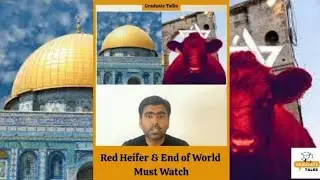 Red Heifer Sacrifice in Israel |Details of Red Cow Sacrifice Israel | Dajjal | Third Temple