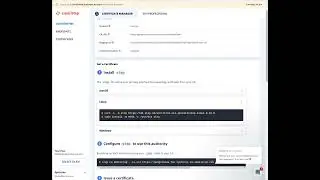 Installing a SmallStep Standalone ACME Server