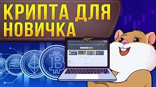 Как заработать на бинансе новичку? Полный гайд по бирже Binance