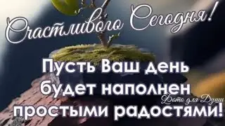 Посиделки 2024.11.23
