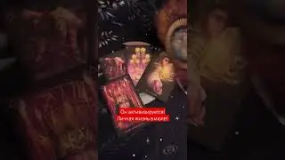 Ссылка на телеграм канал в закрепленном комментарии