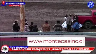 SERIE CAMPEONES,  RODEO CLUB PANQUEHUE, ASOCIACION SAN FELIPE, MEDIALUNA EL ALMENDRAL
