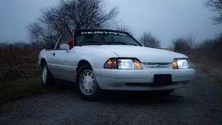 I Bought a MUSTANG! 🐎