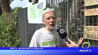 Barletta - Una nuova pineta in via Degli Ulivi
