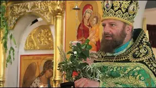 Отец Марк. Святая Троица. Июнь 2023