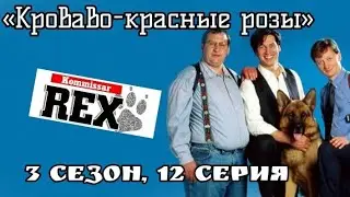 Комиссар Рекс, 3 сезон, 12 серия «Кроваво-красные розы»