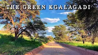 Game drive in the green Kgalagadi Transfrontier National Park 2022 - with original sounds.