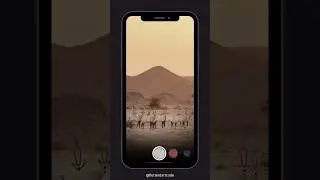 Photo Filter Carousel using Flutter 🎠🚀🚀 #trading #flutter #loginuidesign #bitcoin #flutterchallenge