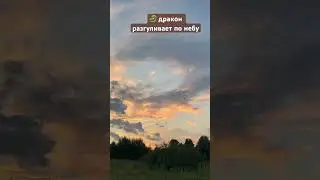О чем молчат драконы?🐉