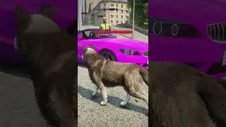 СОБАКА НА МОТОЦИКЛЕ ДПС в ГТА 5 РП (GTA 5 RMRP / Криминальная Москва)