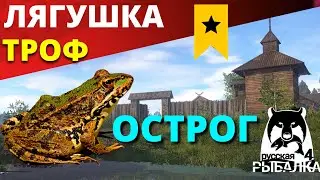 ЛЯГУШКА Старый ОСТРОГ ТРОФЕЙНАЯ / где ловить лягушку ✅ РУССКАЯ РЫБАЛКА 4 🔴 Russian Fishing 4 🔴 РР4