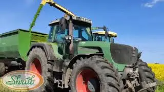 Готовим витаминные корма для наших коров.