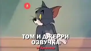 Джавид - Том и Джери (😂Озвучка😂)
