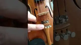 Можете забрать скрипку