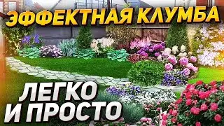 МАЛОУХОДНАЯ КЛУМБА вдоль забора: схемы посадки 