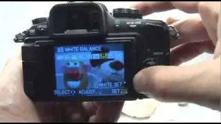 Panasonic G1/GH1: White Balance