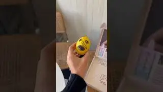 Trying to catch a package thief!