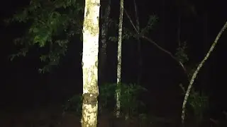 BUKIT BERDARAH TEMPAT HANTU GENTAYANGAN