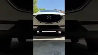 Corgi Has Road Rage! 