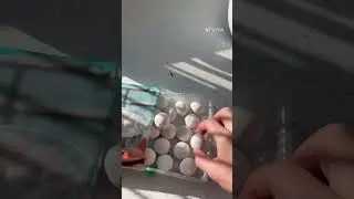 А вы хотите попробовать  китайские юансяо  ？ #китайский  #китайскийновыйгод  #китайскаякухня