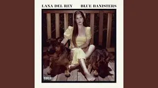 Blue Banisters