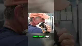 Unleashing Puppy Power A Joyful Dog Adoption Story