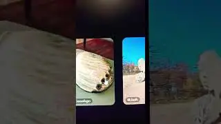 How to Make Money using AI 3D assets (Luma AI) 