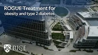 Rice Biotech Launchpad leads commercialization of ROGUE treatment for obesity, type 2 diabetes
