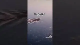 Дикая ондатра 