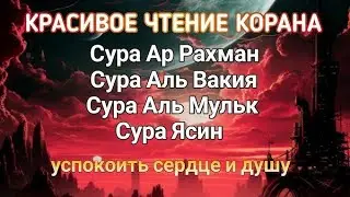 Слушаем и успокаиваем душу. Сура Ясин, Ар Рохман, Вакиьа, Мулк.