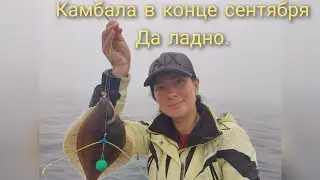 Рыбалка в приморье в конце сентября. Камбала.