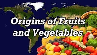 Origins of Fruits and Vegetables