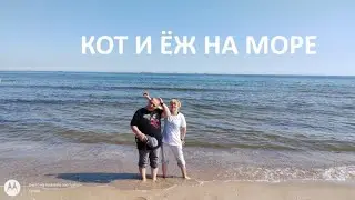 ИЗ РОССИИ В ПОЛЬШУ. В Гданьск, на Балтийское море
