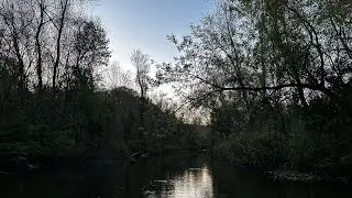 Slaying Trophies (?) on a SE PA Creek