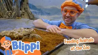 Blippi Is Feeding Animals At The Zoo |  Blippi Animal Videos For Kids | Toddler Learning Cartoons