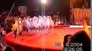 1 (ч) Представление * ЦИРК * Тольятти - 2004