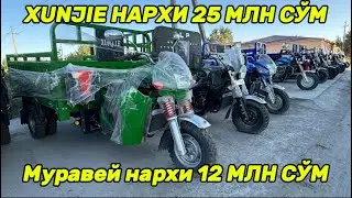 МАНА СИЗГА НАРХ СИНИШ БУНАКА БУ́ЛАДИ ДАХШАТ БЕНЗИНОВЫЙ МОТОЦИКЛ ВА ЭЛЕКТРОННЫЙ МУРАВЕЙ НАРХЛАРИ