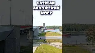 НЕЖДАНЧИК ПО ДОРОГЕ НА РАБОТУ ЭТО ПОВОД ОСТАНОВИТЬСЯ И ПОСМОТРЕТЬ ПО СТОРОНАМ.