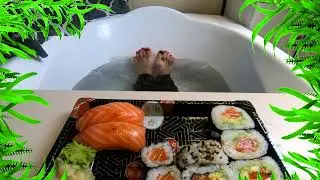 Wetlook - Eating sushi in the bathtub!