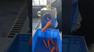 Industrial Carrot Peeling Peeler Machine