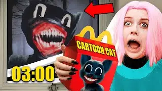 DO NOT ORDER CARTOON CAT HAPPY MEAL AND LEGO SET AT 3:00 AM !!!