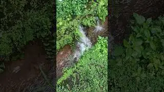 heavy rain - get the products usefull for rainy day - wayanad #kerala #rain #heavyrain #travel
