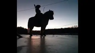 Девушка на полном скаку стреляет из лука с лошади.