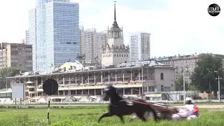 ЦЕНТРАЛЬНЫЙ МОСКОВСКИЙ ИППОДРОМ / ТРЕНИРОВКА / THE CENTRAL MOSCOW HIPPODROME / WORKOUT / 06.2020